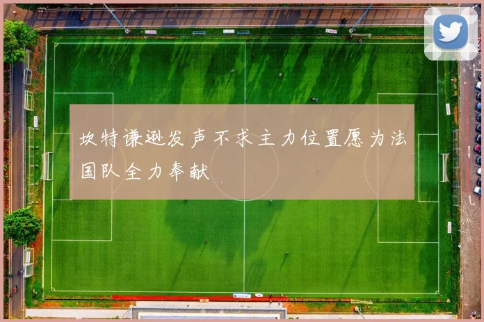 坎特谦逊发声不求主力位置愿为法国队全力奉献