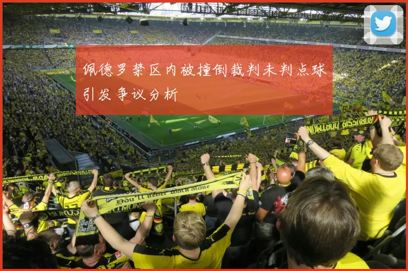 佩德罗禁区内被撞倒裁判未判点球引发争议分析